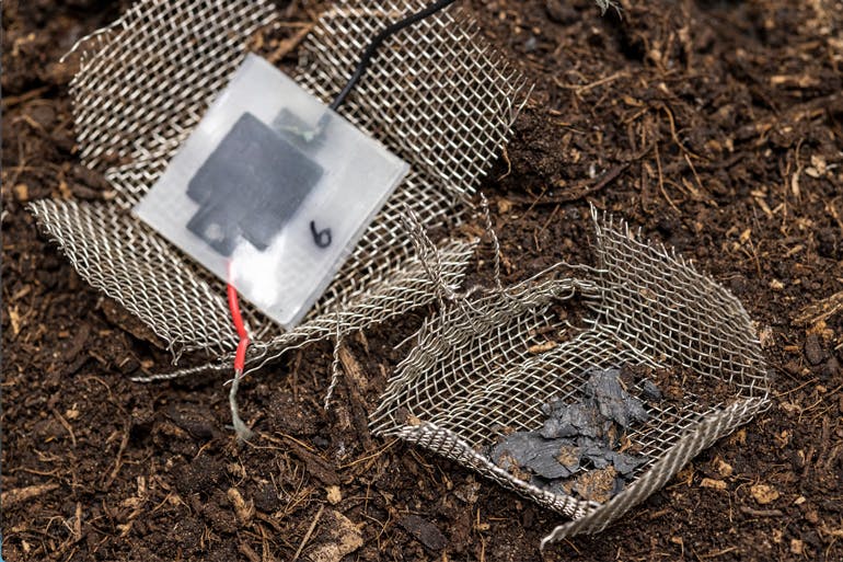 After two months buried in the soil, the capacitor has disintegrated, leaving only a few visible carbon particles.