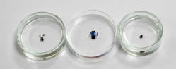 The NTU millimeter-sized robots measure about the size of a grain of rice and can be controlled using magnetic fields.