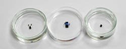 The NTU millimeter-sized robots measure about the size of a grain of rice and can be controlled using magnetic fields. The NTU millimeter-sized robots measure about the size of a grain of rice and can be controlled using magnetic fields.
