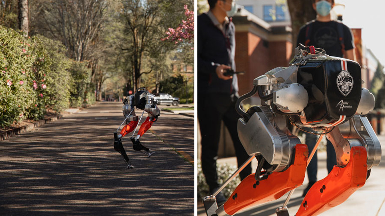 Cassie the robot in action