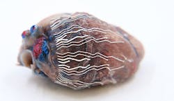 A fully printable biosensor made of soft bio-inks interfaces with a pig heart. A fully printable biosensor made of soft bio-inks interfaces with a pig heart.