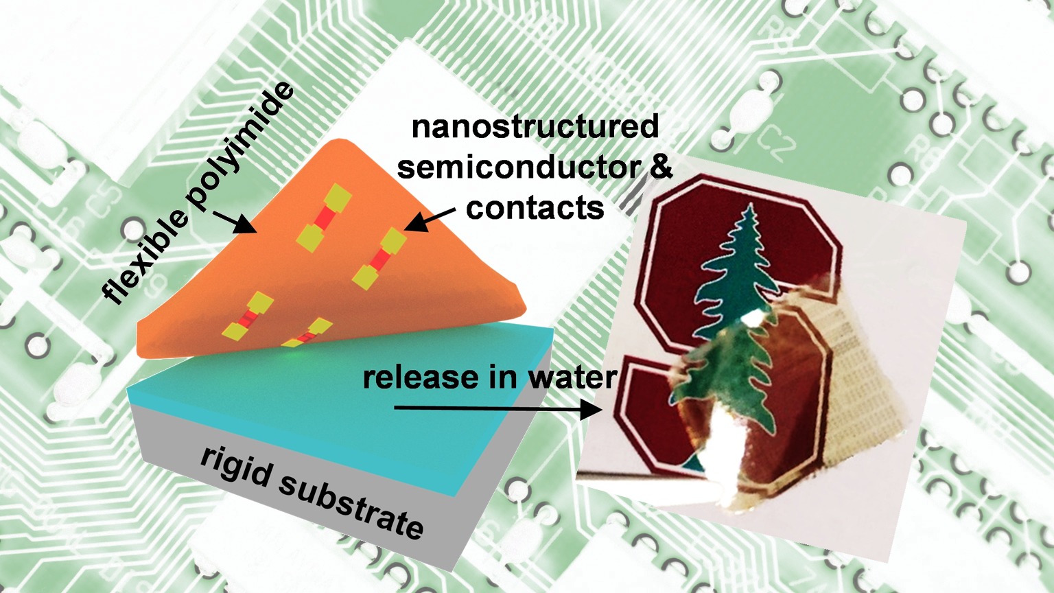 Transfer process superimposed on chip image