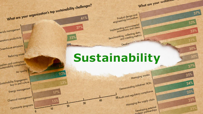 Image of survey with tear revealing the word 'Sustainability'