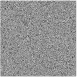 2. This image captured by the Falcon 4 detector shows drift-corrected, aligned, summed frames. Out of such images, particles are selected in several different orientations, which are then used for 3D reconstruction software. 2. This image captured by the Falcon 4 detector shows drift-corrected, aligned, summed frames. Out of such images, particles are selected in several different orientations, which are then used for 3D reconstruction software.