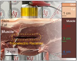 Wireless acoustic energy transfer into implantable devices within pork (skin and flesh) as a substitute for the human body.