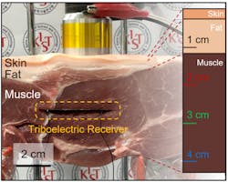 Wireless acoustic energy transfer into implantable devices within pork (skin and flesh) as a substitute for the human body. Wireless acoustic energy transfer into implantable devices within pork (skin and flesh) as a substitute for the human body.