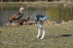 BirdBot poses with a bird. BirdBot poses with a bird.