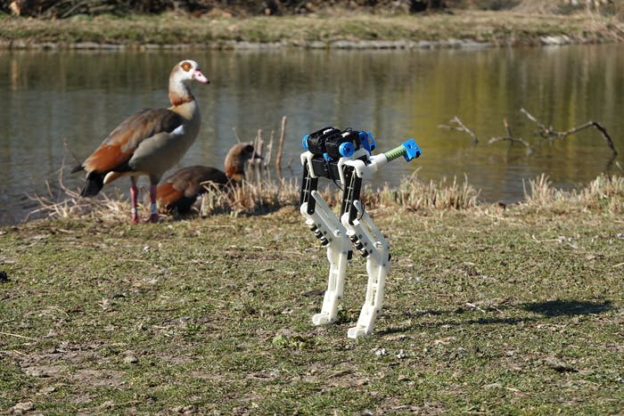 BirdBot poses with a bird.
