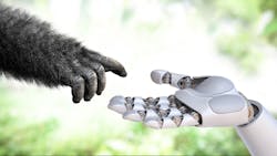 The evolution of robotics The evolution of robotics