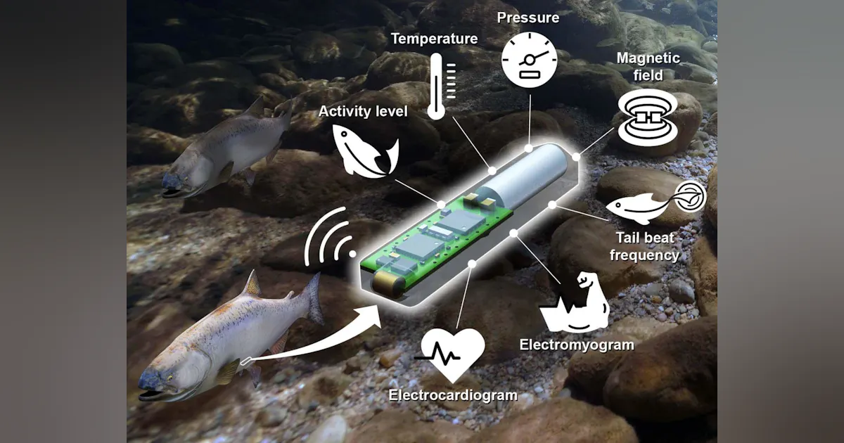 Wireless Sensor to Uncover the Secret Life of Fish | Machine Design