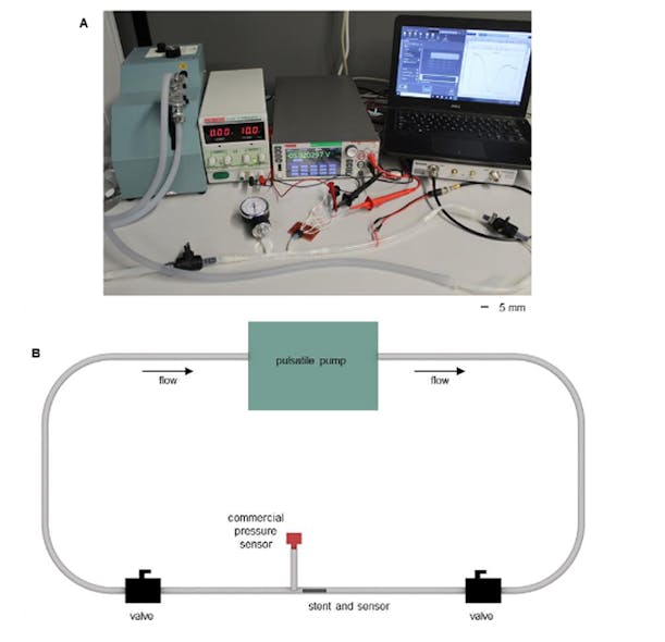 2. Experimental setup of artery model for pressure and flow monitoring: (A) Photo of testing setup with pulsatile pump. (B) Illustration of artery model for testing with pulsatile flow.