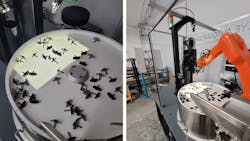 Flexibowl photo collage Flexibowl photo collage