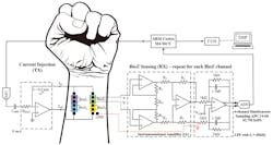 Ed Blood Pressure Tattoo Interest Fig3 62fe52399468d Ed Blood Pressure Tattoo Interest Fig3 62fe52399468d