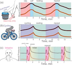Ed Blood Pressure Tattoo Interest Fig5 62fe52474a3d2 Ed Blood Pressure Tattoo Interest Fig5 62fe52474a3d2