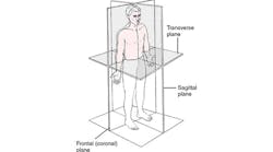 Illustration of transverse, sagital and frontal planes Illustration of transverse, sagital and frontal planes