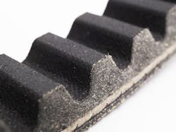 Teeth come in a variety of shapes. Teeth come in a variety of shapes.