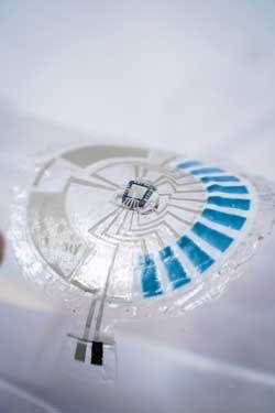 Ed Skin Patches Interest Fig6 645bc0790cf2f Ed Skin Patches Interest Fig6 645bc0790cf2f