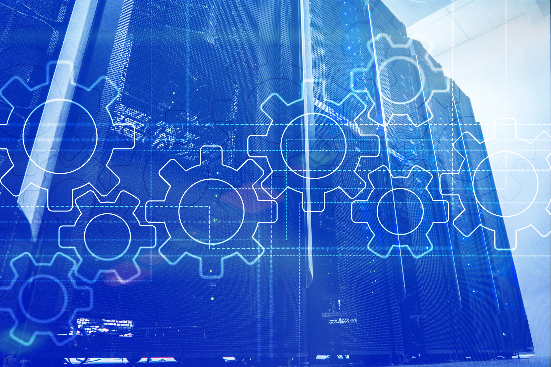 Dreamstime L 146775849