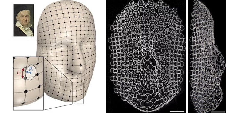 A portrait of Carl Friedrich Gauss painted by Christian Albrecht Jensen in 1840. The researchers generated a 3D surface via an artificial intelligence algorithm. The ribs in the different layers of the lattice are programmed to grow and shrink in response to a change in temperature, mapping the curves of Gauss’ face.