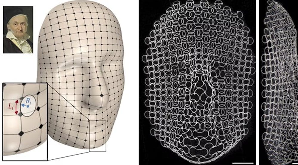A portrait of Carl Friedrich Gauss painted by Christian Albrecht Jensen in 1840. The researchers generated a 3D surface via an artificial intelligence algorithm. The ribs in the different layers of the lattice are programmed to grow and shrink in response to a change in temperature, mapping the curves of Gauss&rsquo; face.