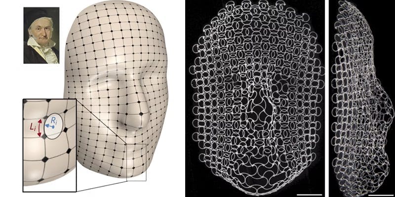 A portrait of Carl Friedrich Gauss painted by Christian Albrecht Jensen in 1840. The researchers generated a 3D surface via an artificial intelligence algorithm. The ribs in the different layers of the lattice are programmed to grow and shrink in response to a change in temperature, mapping the curves of Gauss&rsquo; face.