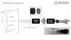 The RESTORE system consists of implantable intramuscular electrodes (IIEs), a sensing unit, a socket-mounted receiver and a software package. It is designed to be compatible with any commercially available robotic upper extremity prothesis. The RESTORE system consists of implantable intramuscular electrodes (IIEs), a sensing unit, a socket-mounted receiver and a software package. It is designed to be compatible with any commercially available robotic upper extremity prothesis.