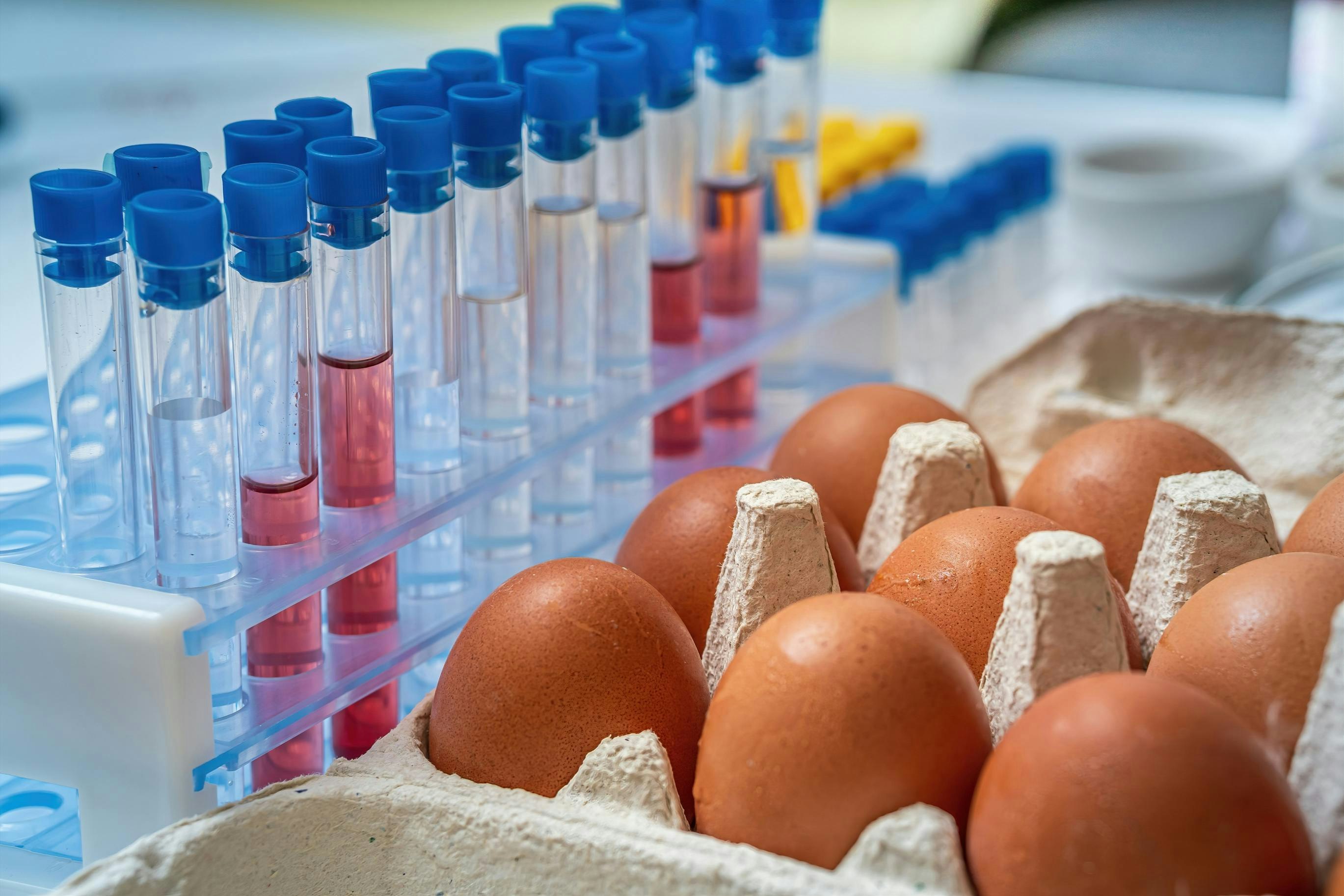 Eggs being tested for safety