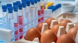 Eggs being tested for safety Eggs being tested for safety