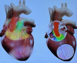 67c2100b5c3de931b6488987 Thumbnail Img 8470 67c2100b5c3de931b6488987 Thumbnail Img 8470