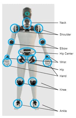 Locations that add to DOF in a humanoid robot Locations that add to DOF in a humanoid robot
