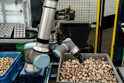 Neural network expertise Neural network expertise