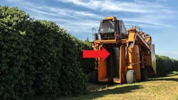 Plastic shaker rods on coffee harvesting machine Plastic shaker rods on coffee harvesting machine