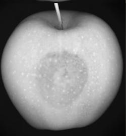 LED lighting targeting the SWIR range LED lighting targeting the SWIR range