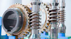 Worm gear