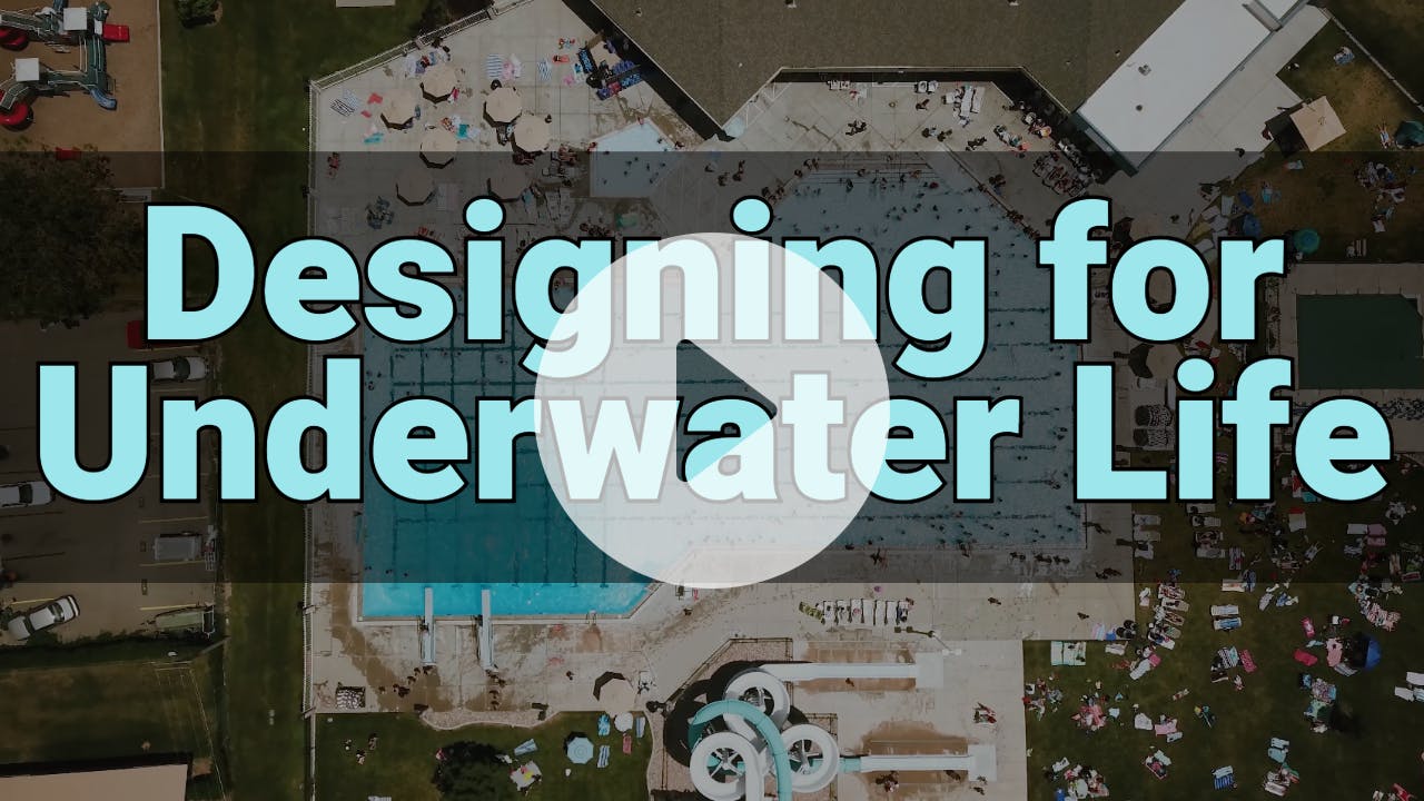 Designing for Underwater Life