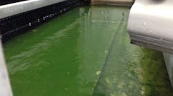 A conventional cooling tower basin. The large amount of water is green from algae growth and scale appears visible on the basin surface. A conventional cooling tower basin. The large amount of water is green from algae growth and scale appears visible on the basin surface.
