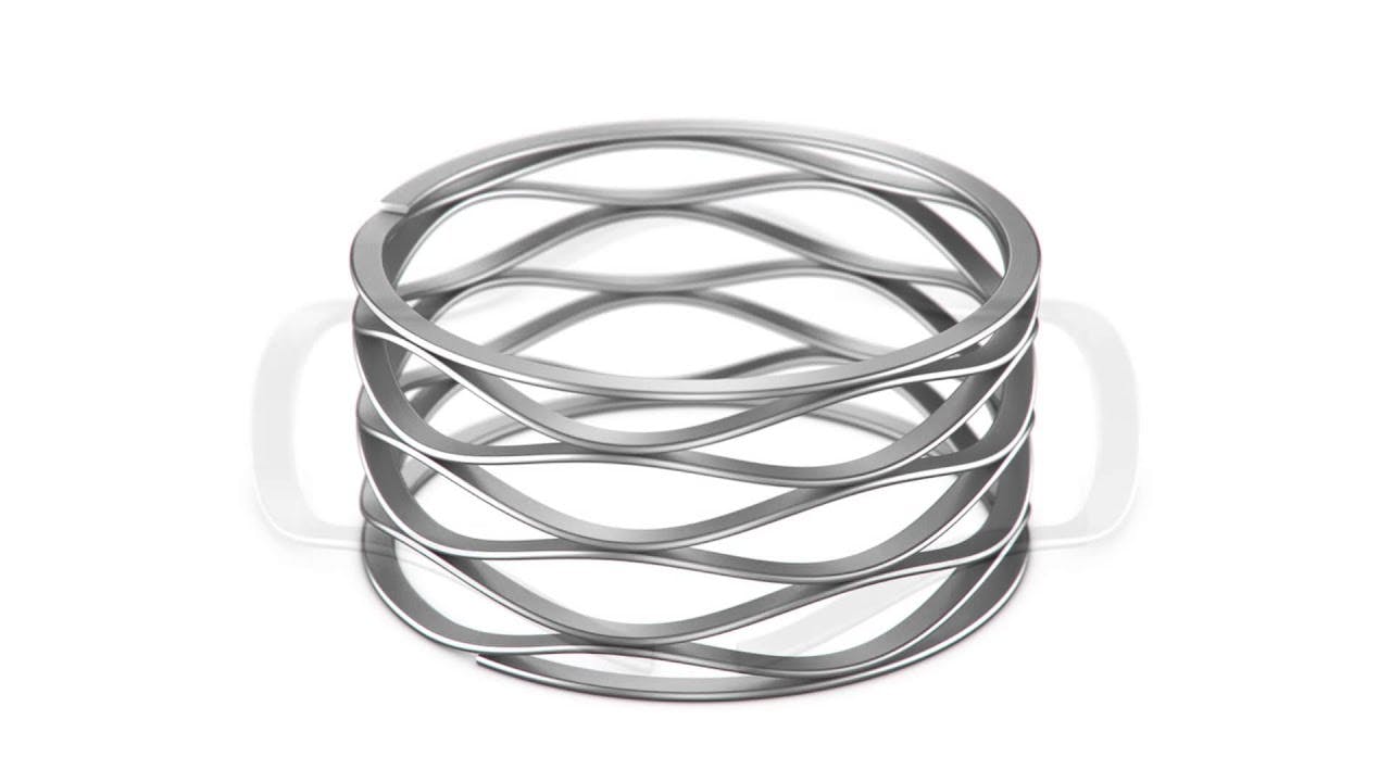 Wave Springs | Smalley Wave Spring Overview
