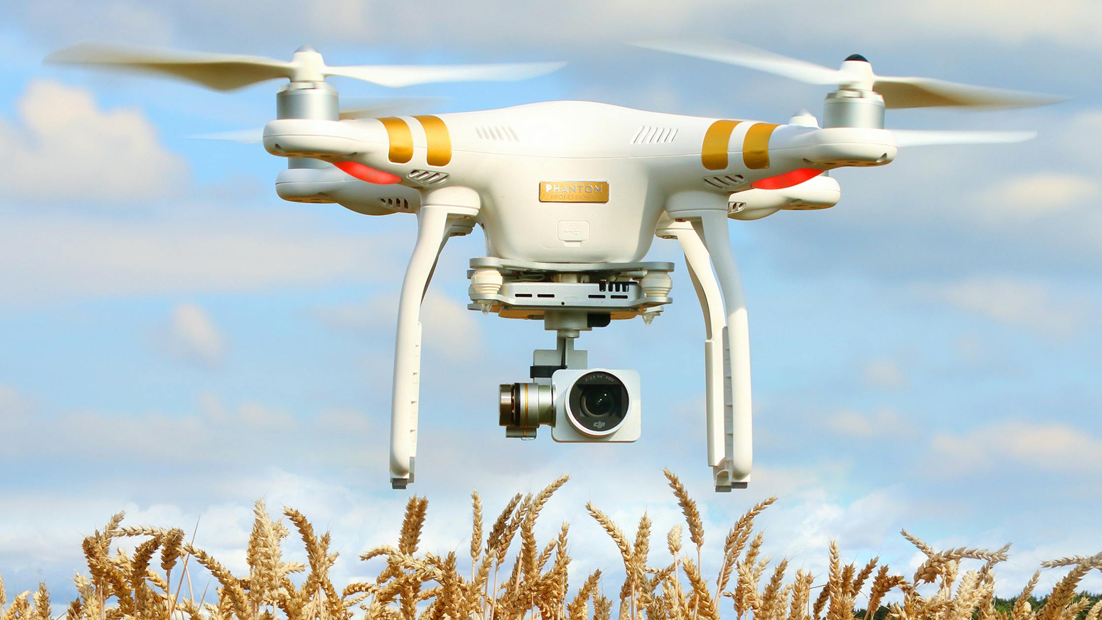 Drone in agriculture
